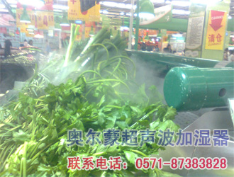 用于蔬菜和水果保鮮的加濕器/加濕機